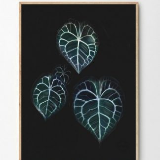 Dark leaves poster Linn Wold