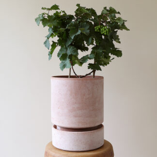 The hoff potte 14 cm, rosa