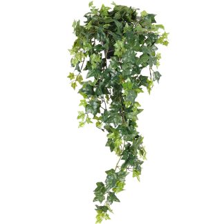 Eføy 85 cm Mr Plant