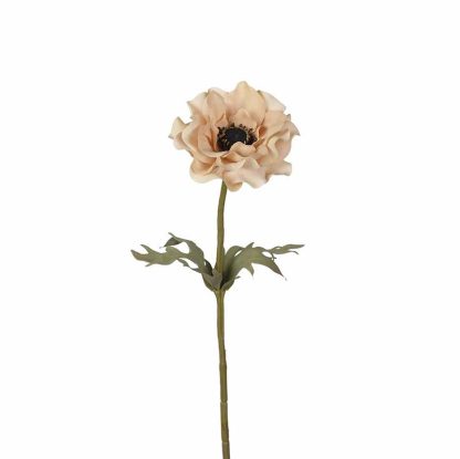 anemone mr plant 3534-71