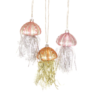 Tinsel jellyfish Cody Foster
