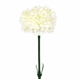 Mr Plant Nellik hvit 55 cm 3593-10