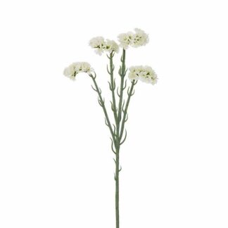 Mr Plant Statice hvit 60 cm