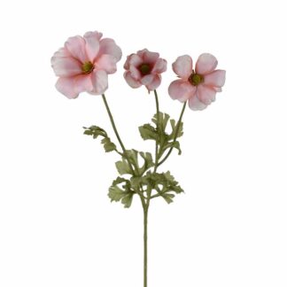 4673-22 sommerfuglranunkel rosa