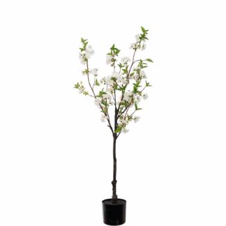 Kirsebærtre 120 cm Mr plant