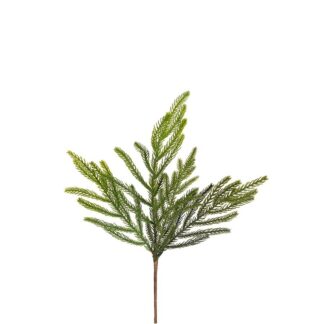 Grankvist Mr Plant