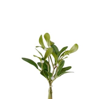 Misteltein Mr Plant