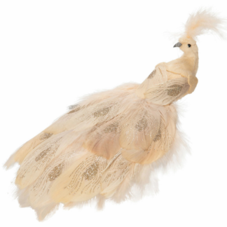 påfugl Diva m/klips