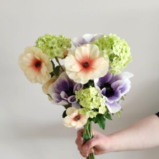 Bukett anemone, japansk ranunkel Mr Plant