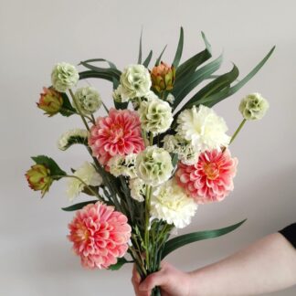 Bukett dahlia, nellik Mr Plant