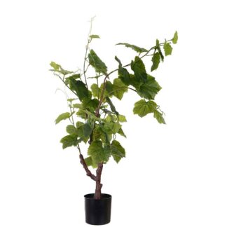 Vinplante 4577-090