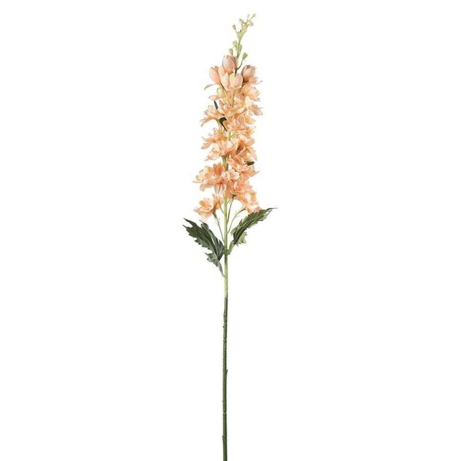 Ridderspore fersken, 75 cm