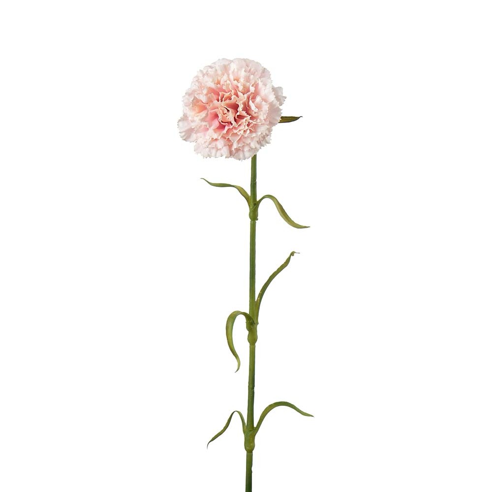 Nellik rosa, 44 cm