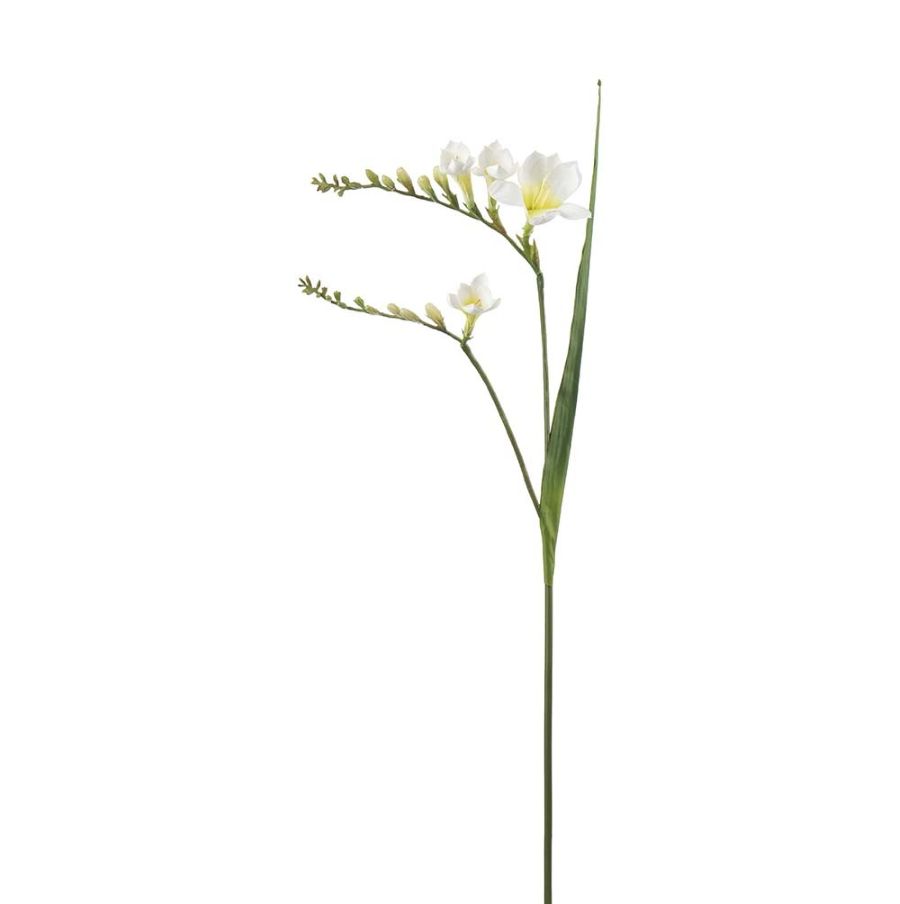 Freesia hvit, 60 cm