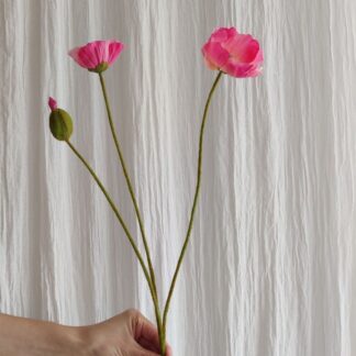 Mr Plant valmue