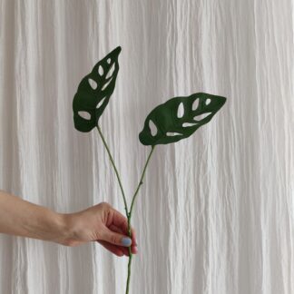 Mr Plant monstera blad