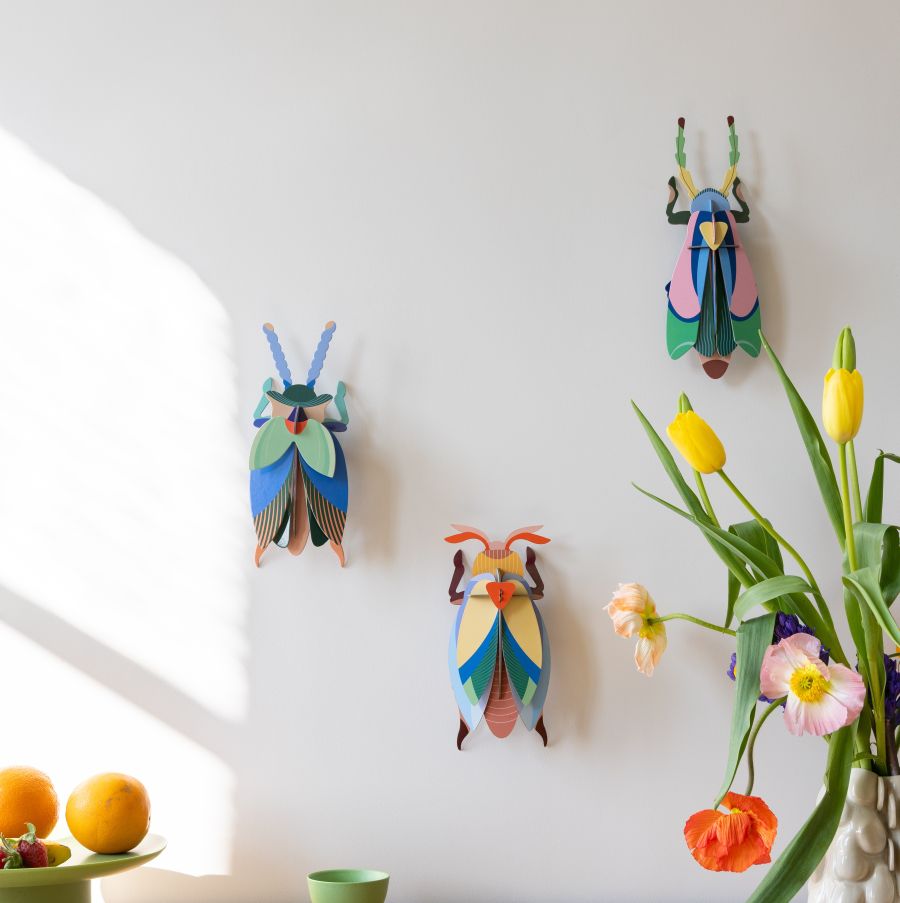 Sakura beetle Studio Roof