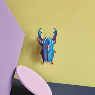 Azure stag beetle Studio ROOF