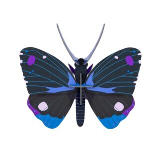 Blue diadem butterfly Studio ROOF