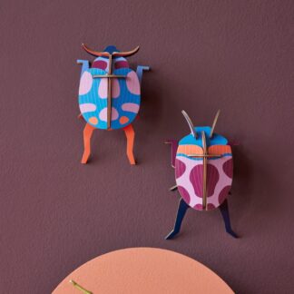 Coccinelle couple Studio ROOF