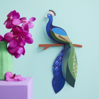 Peacock Studio ROOF
