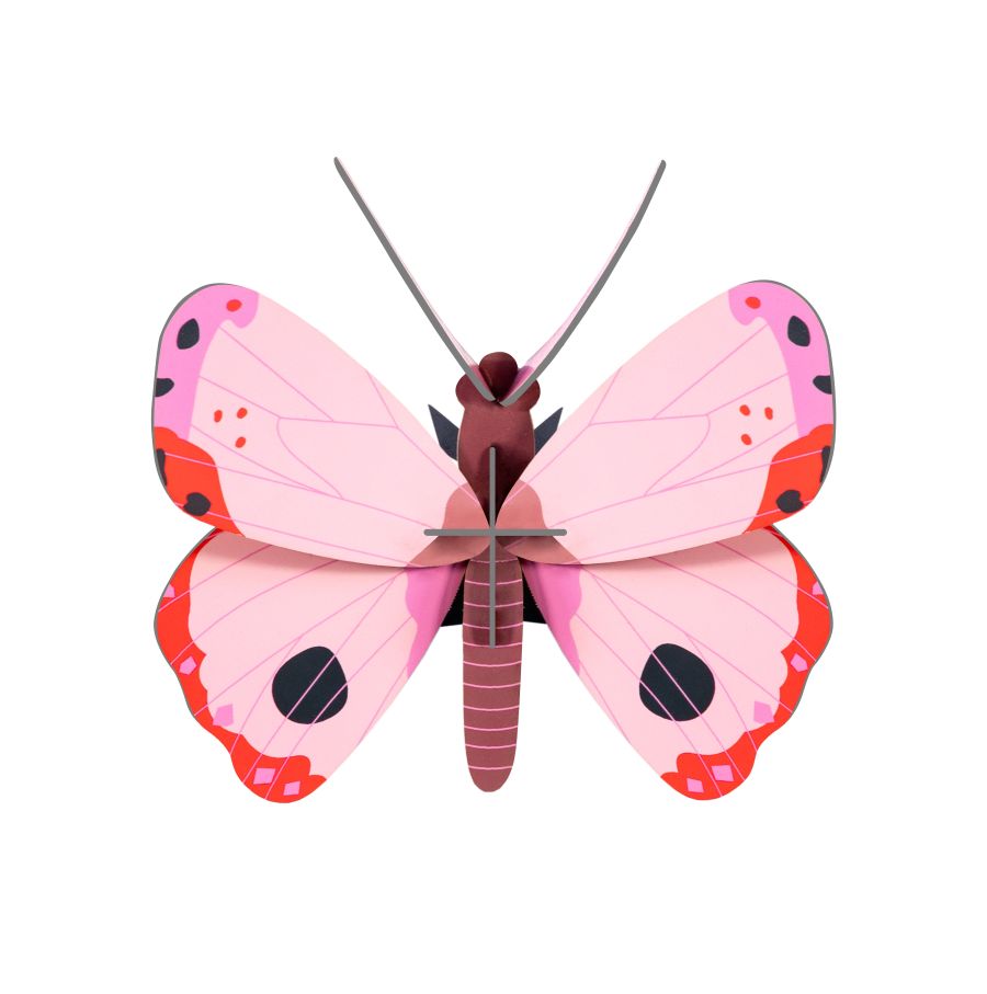 Rosora butterfly Studio ROOF