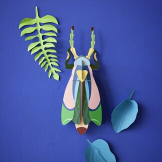 Sakura beetle Studio Roof
